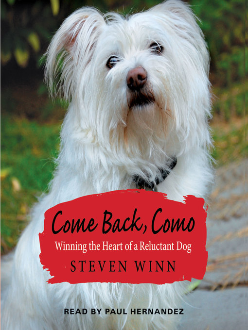 Title details for Come Back, Como by Steven Winn - Available